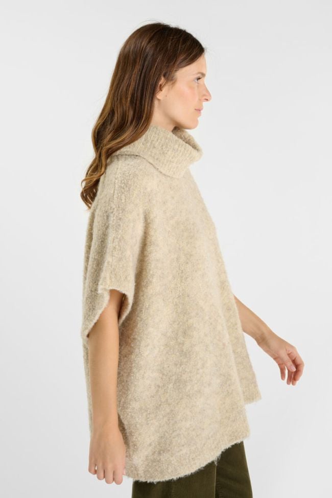 252_fliroy0000000sm_1004_imaged4