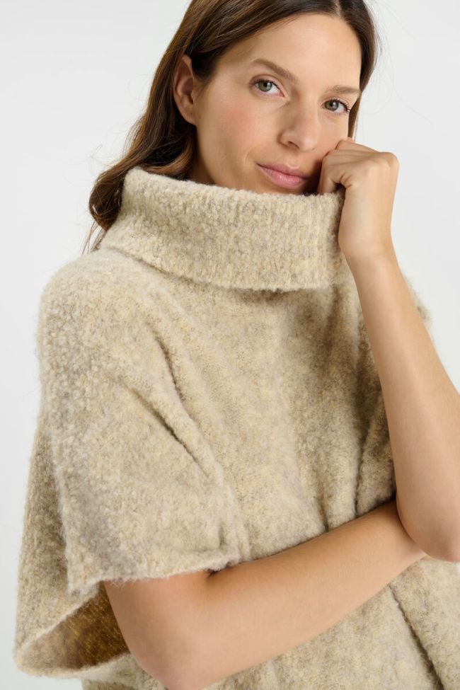 252_fliroy0000000sm_1004_imaged5